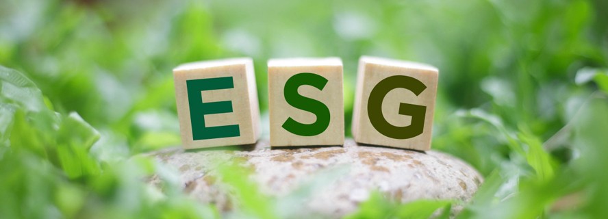 ESG Strategy